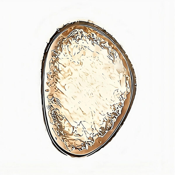 Applique murale LED contemporaine d'exception