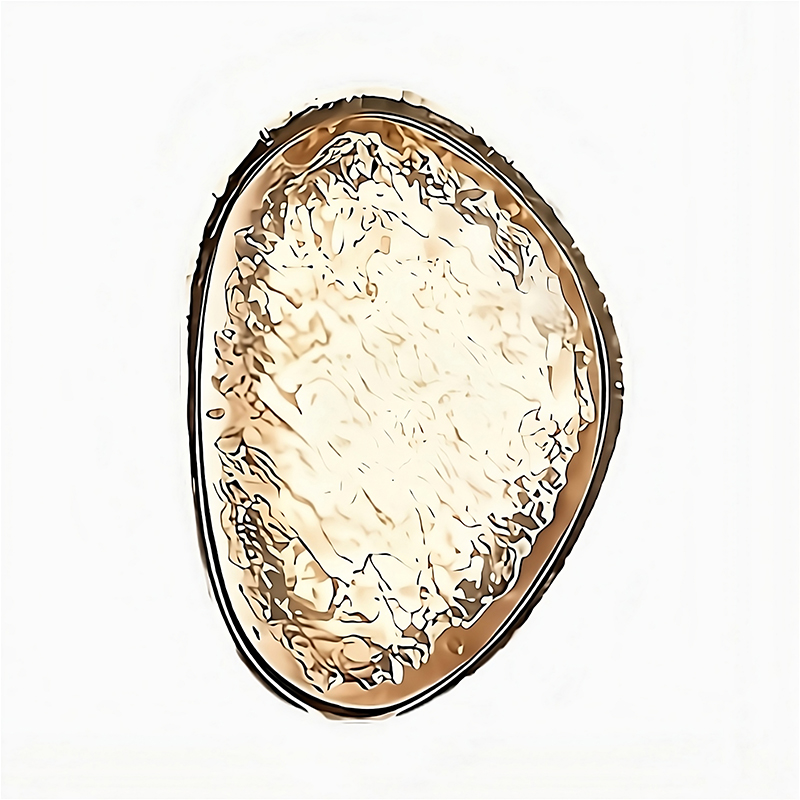 Applique murale LED contemporaine d'exception