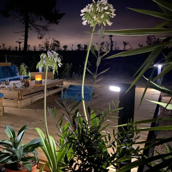 Borne solaire LED extérieure 1000 lumens